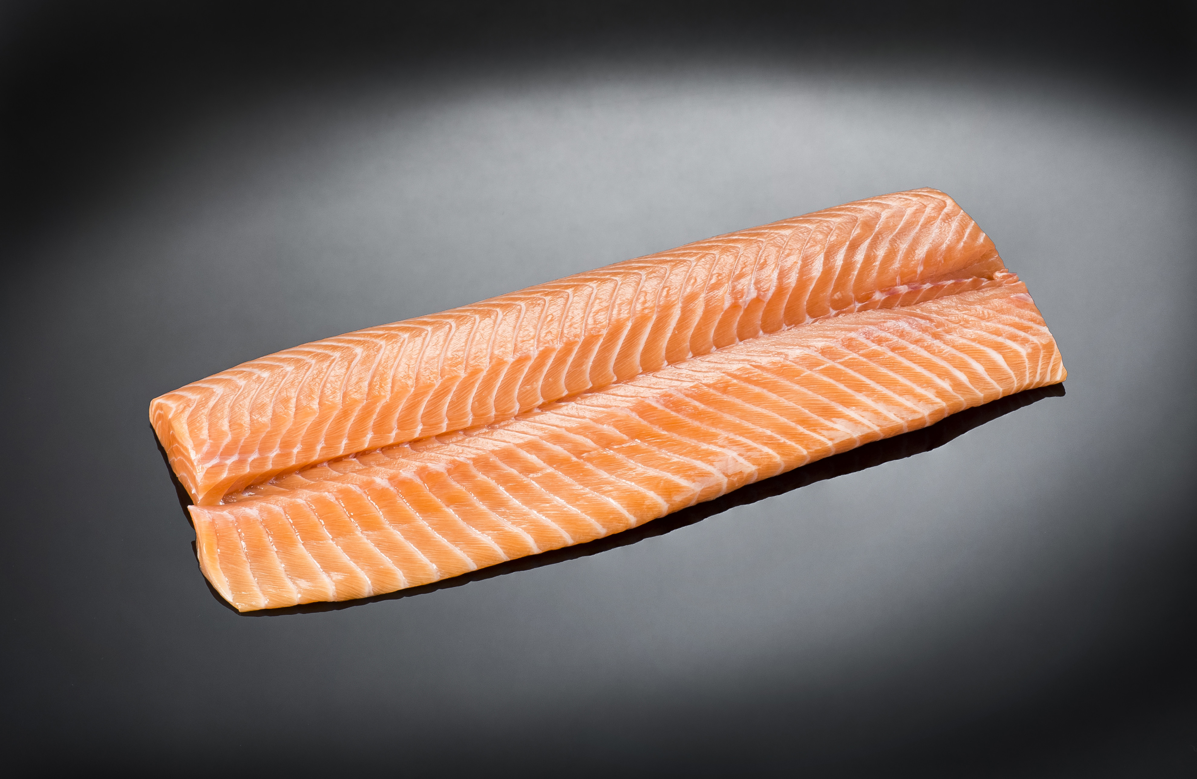 Salmon loin