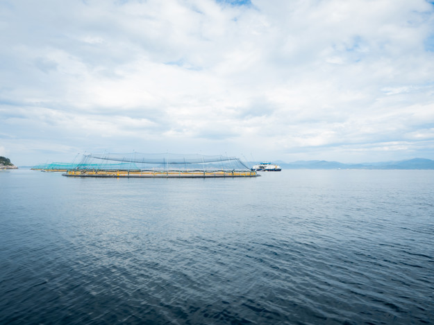 Organic fish cage