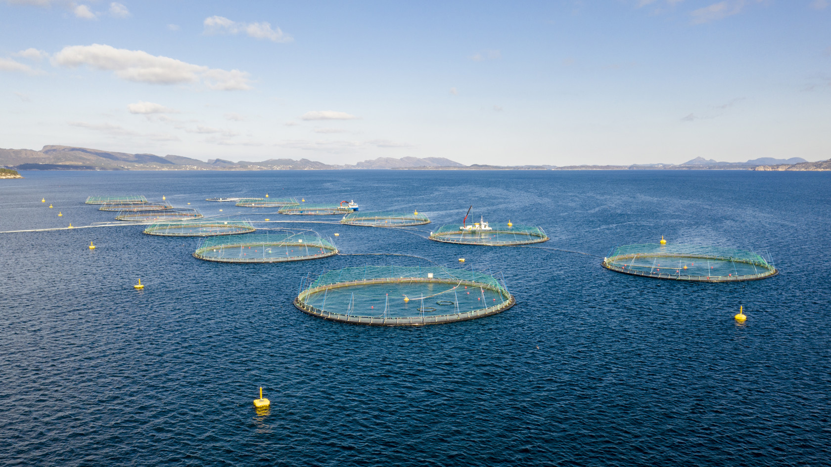 ASC – Aquaculture Stewardship Council
