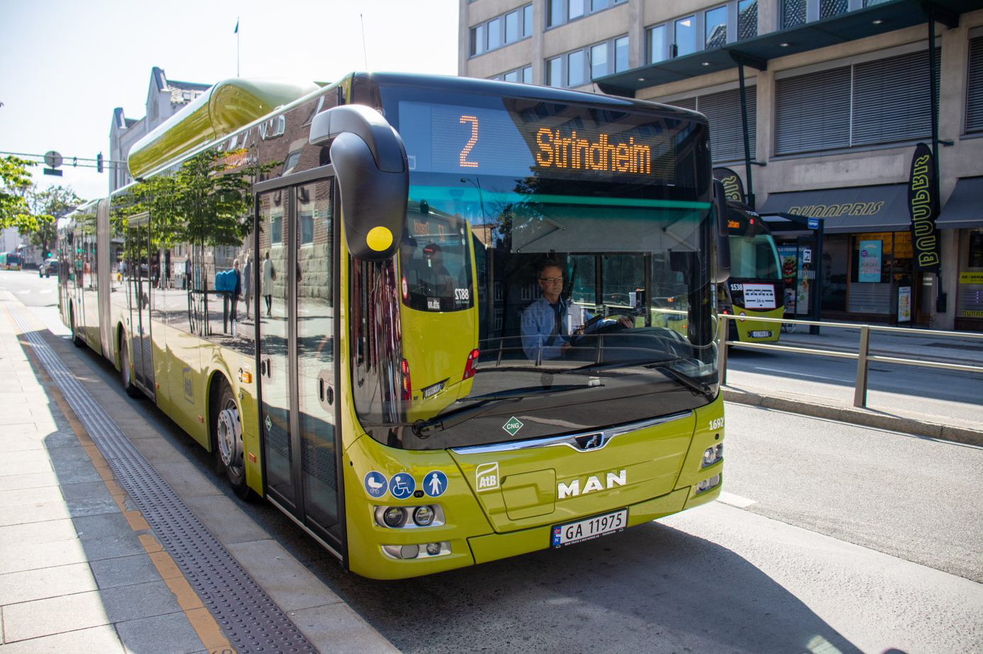 Bus